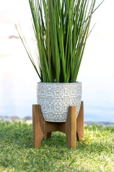 Onion Grass Cathdral W/Stand