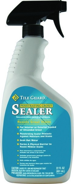 SILICONE GROUT SEALER 22OZ