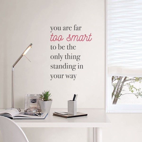 FAR TOO SMART WALL QUOTE DECALS