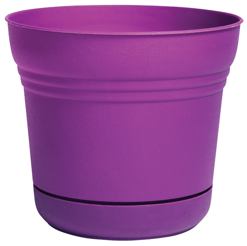 Bloem Pot Planter, 1 Cu-ft Capacity, 9.8 in W x 8-1/2 in H, Plastic Resin,