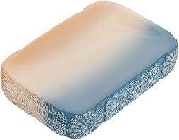 FALLON SOAP DISH-AQUA