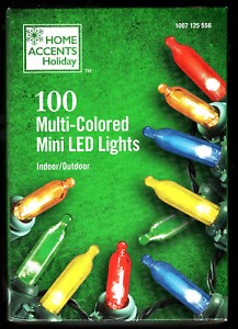 Home Accents Holiday 100 Multi-Colored Mini Led Lights | Indoor/Outdoor