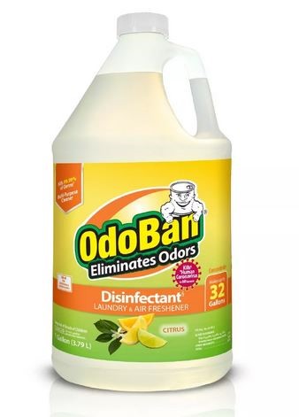 ODOBAN CITRUS CONC GAL