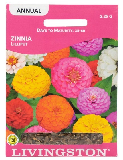 Livingston Seed Zinnia Lilliput Seeds Packet