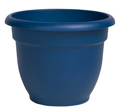 Bloem AP0831 Ariana Self Watering Planter, Deep Sea 8in