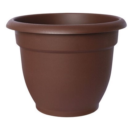 Bloem Ariana Plastic Self Watering Planter, Chocolate 10in