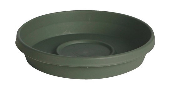 Bloem Terra Living Plastic Flower Pot Saucer Green, 8 in