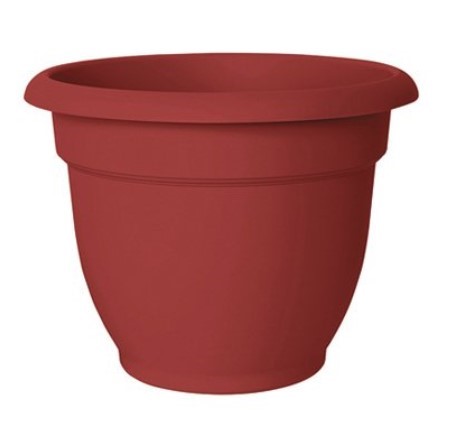 Bloem Ariana Self-Watering Plastic Planter, Burnt Red 6in