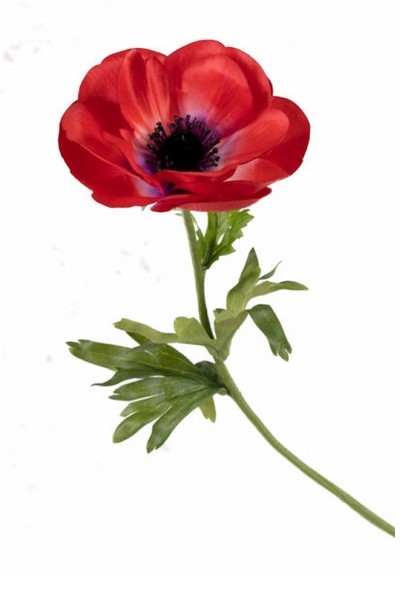 Faux Flowers FQ238903 Anemone Mia Artificial Flowers | Red | 11cm x 43cm