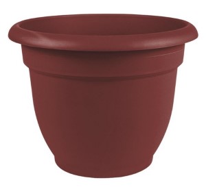 BLOEM Ariana Plastic Self Watering Planter, Burnt Red 12in