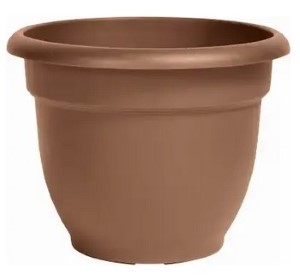 ARIANA CHOCOLATE PLANTER 6"