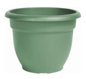 Bloem 20-56408 Ariana Living Planter, Green 8in