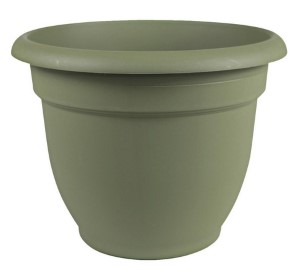 Bloem Ariana Plastic Self Watering Planter, Green 12in