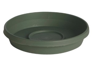 BLOEM Terra Living Plastic Flower Pot Saucer, Green 12 In