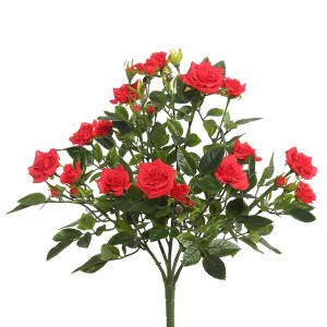 15" Red Mini Diamond Rose Bush