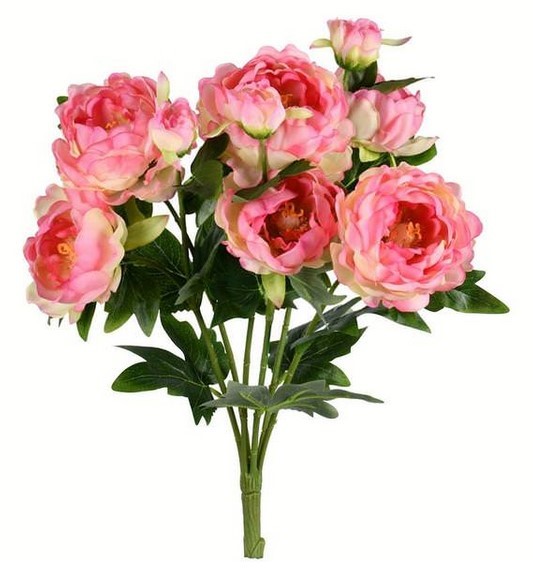 19" Light Pink Peony Bush