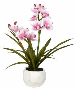 26" Pink Orchid in White Pot