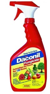 DACONIL FUNGICIDE LIQUID TAN 32Z