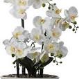 Enova Home Elegant 24" Artificial Real Touch Orchids Flower in White Ceramic