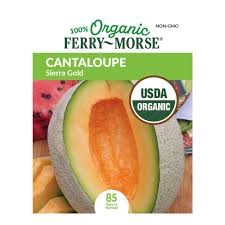 LV ORGANIC CANTALOUPE SIERRA GOL