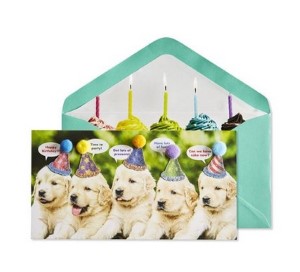 Row of Puppies | Birthday Card