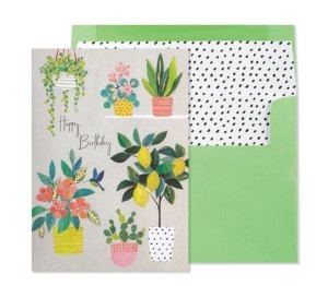 Lemon Tree and Plants | Birthday Card