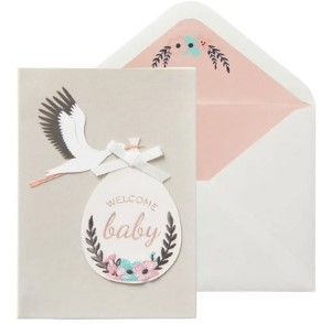 Stork and Bundle | New Baby Card