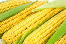 CORN - JUBILEE