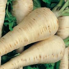 PARSNIPS - HOLLOW  CROWN