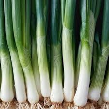 LEEKS - AMERICAN FLAG