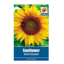 LS SUNFLOWER DWARF SUNSPOT