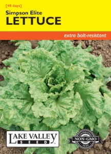 Simpson Elite Lettuce Seeds