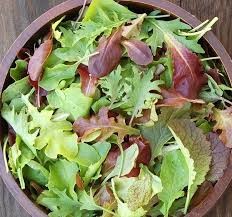 ORGANIC LETTUCE MESCLUN BLEND