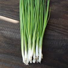 LV ORGANIC ONION EVERGREEN BUNCH