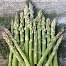 ASPARAGUS - MARY WASHINGTON