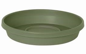 TERRA LIVING GREEN SAUCER 6"