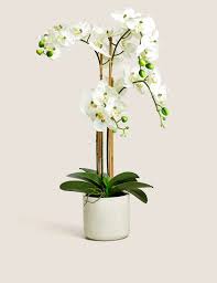 Real-touch Orchid Indian Pot