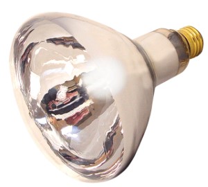 BULB HEAT LAMP 125W BR40 CLEAR