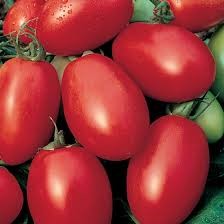 LV TOMATO VIVA ITALIAN