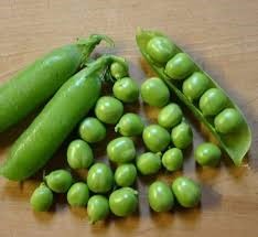 Early Frost Pea Seeds - Heirloom