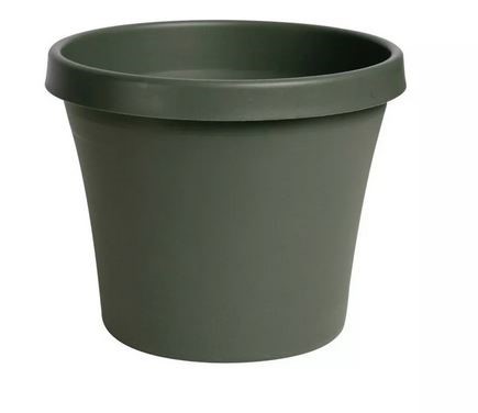 Bloem Terra Living Plastic Planter | 20in | Green