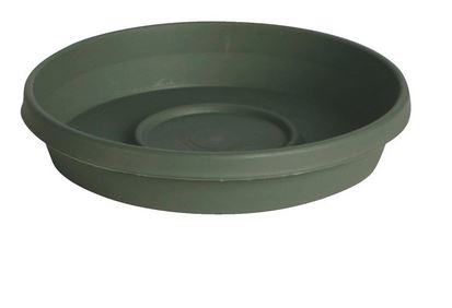 TERRA LIVING GREEN SAUCER 14"