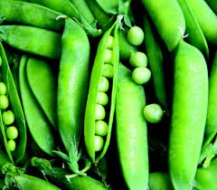 Lincoln Pea Seeds - Heirloom