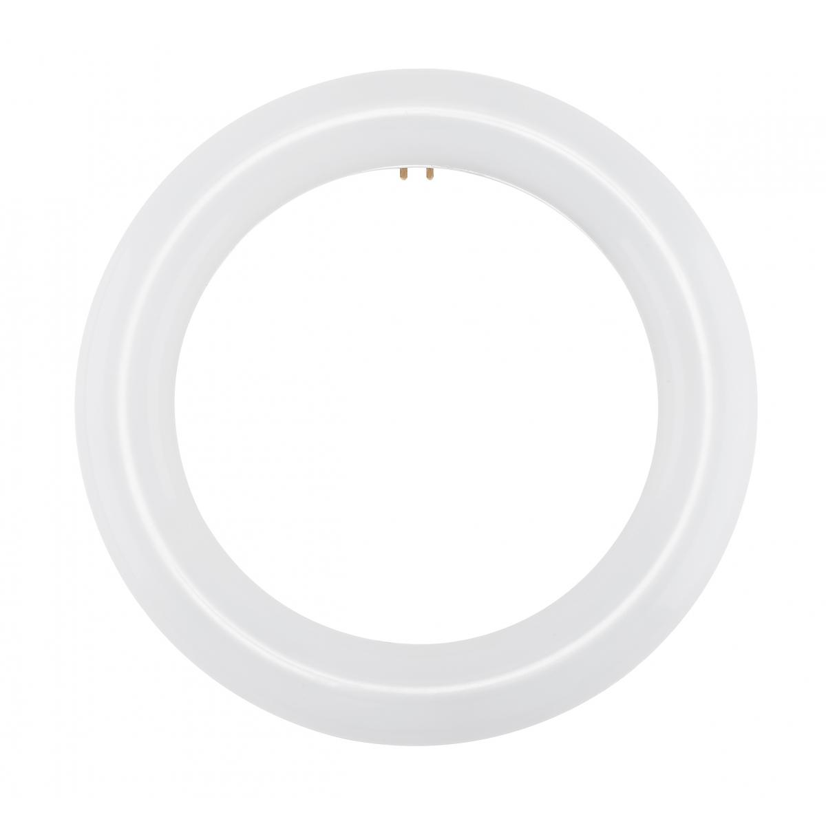 BULB LED CIRCLINE T9 11W 6500K